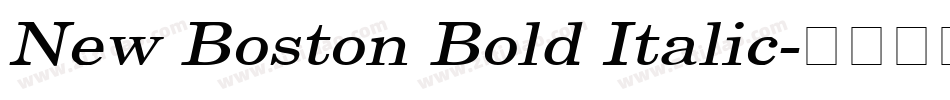 New Boston Bold Italic字体转换